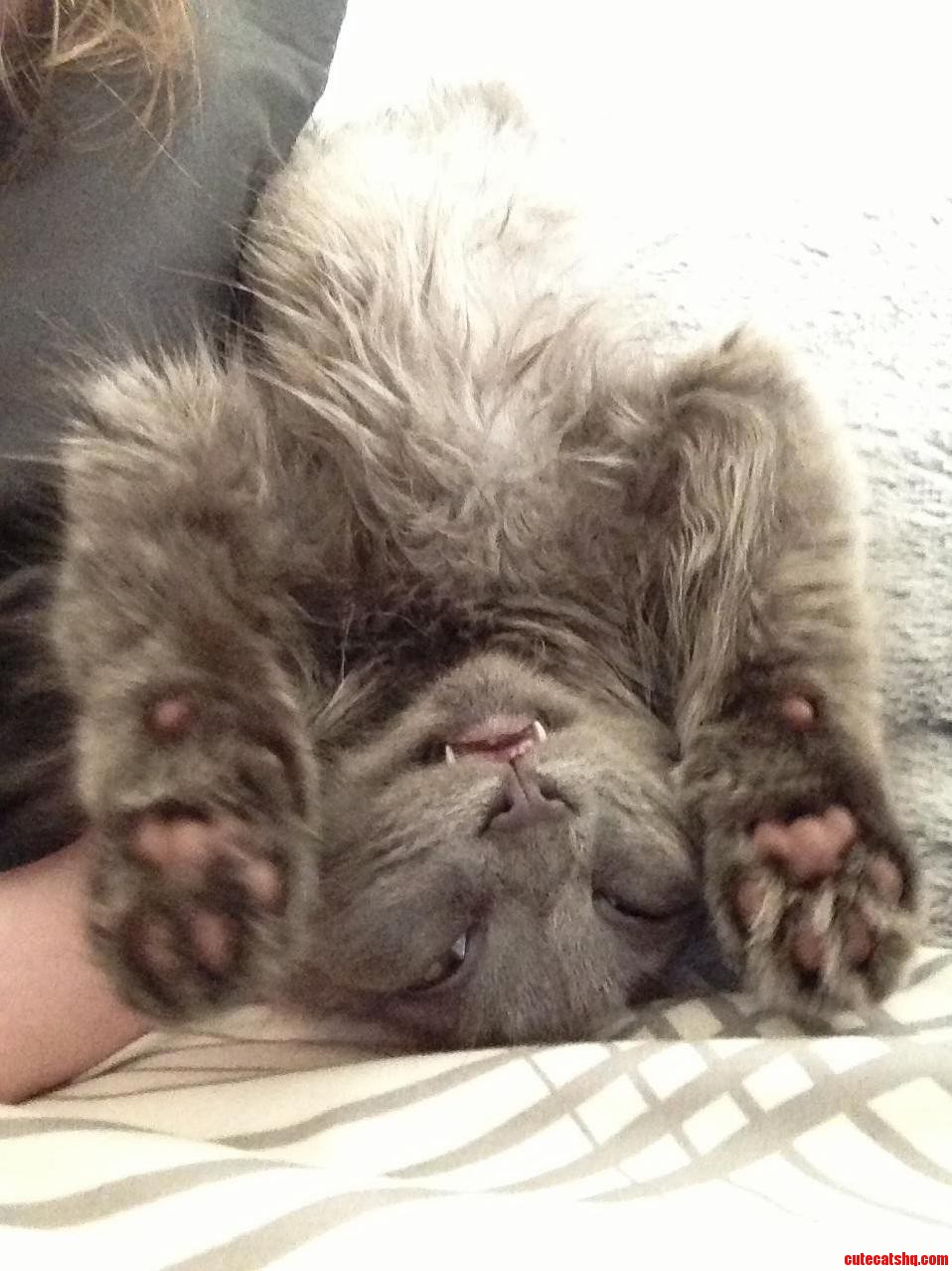 Just One of Those Mornings.