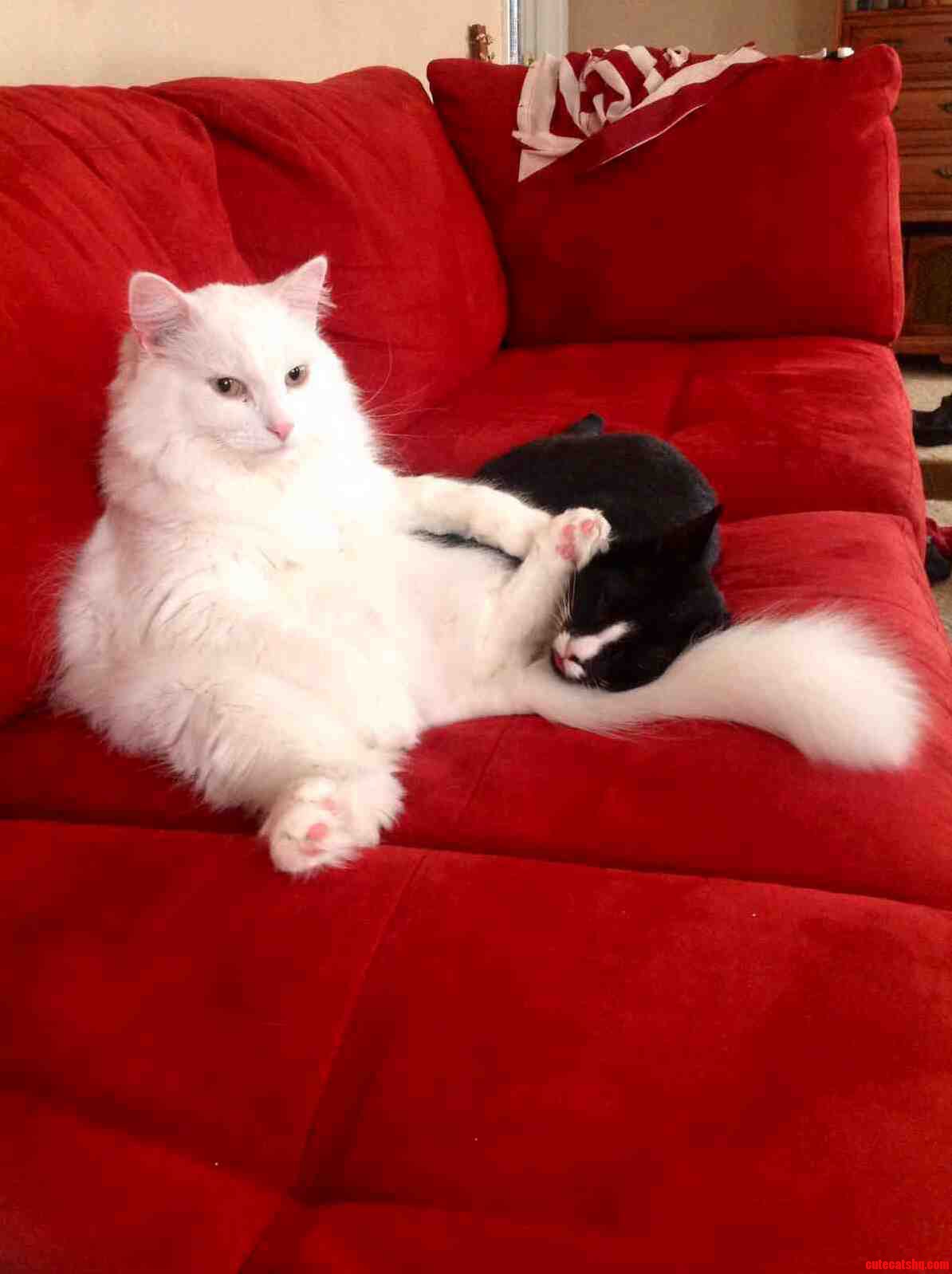 Just Sitting Around.
