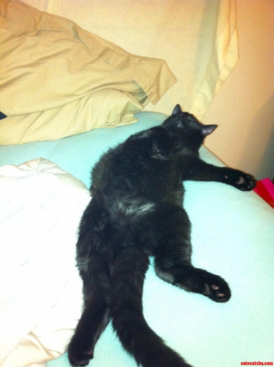 Kevin Sleeps Like a Professional