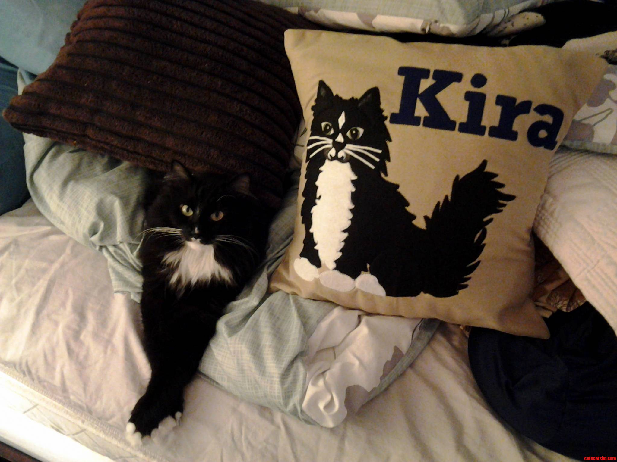 Kira Showing Off Her Modeling Career