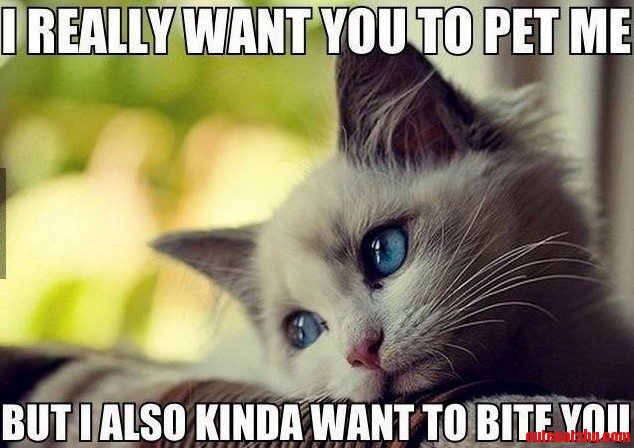 Kittens.