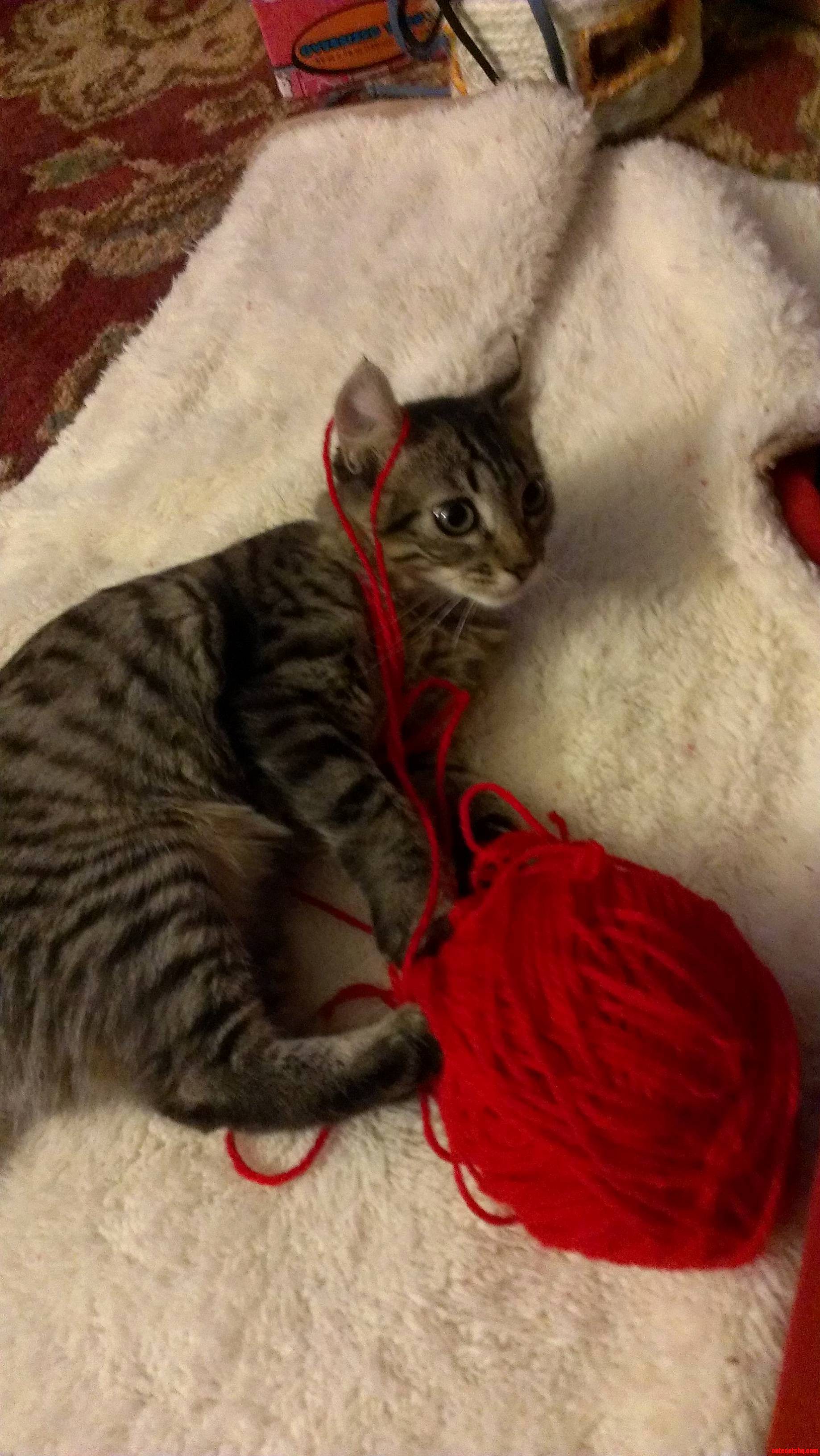 Knitting...am I Doing It Right