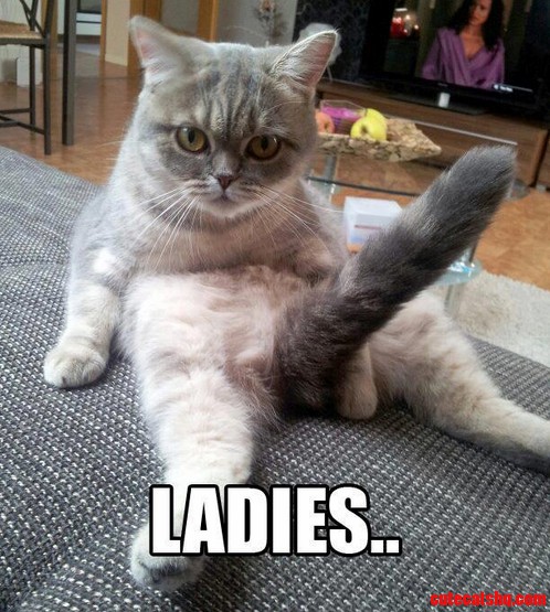 Ladies..