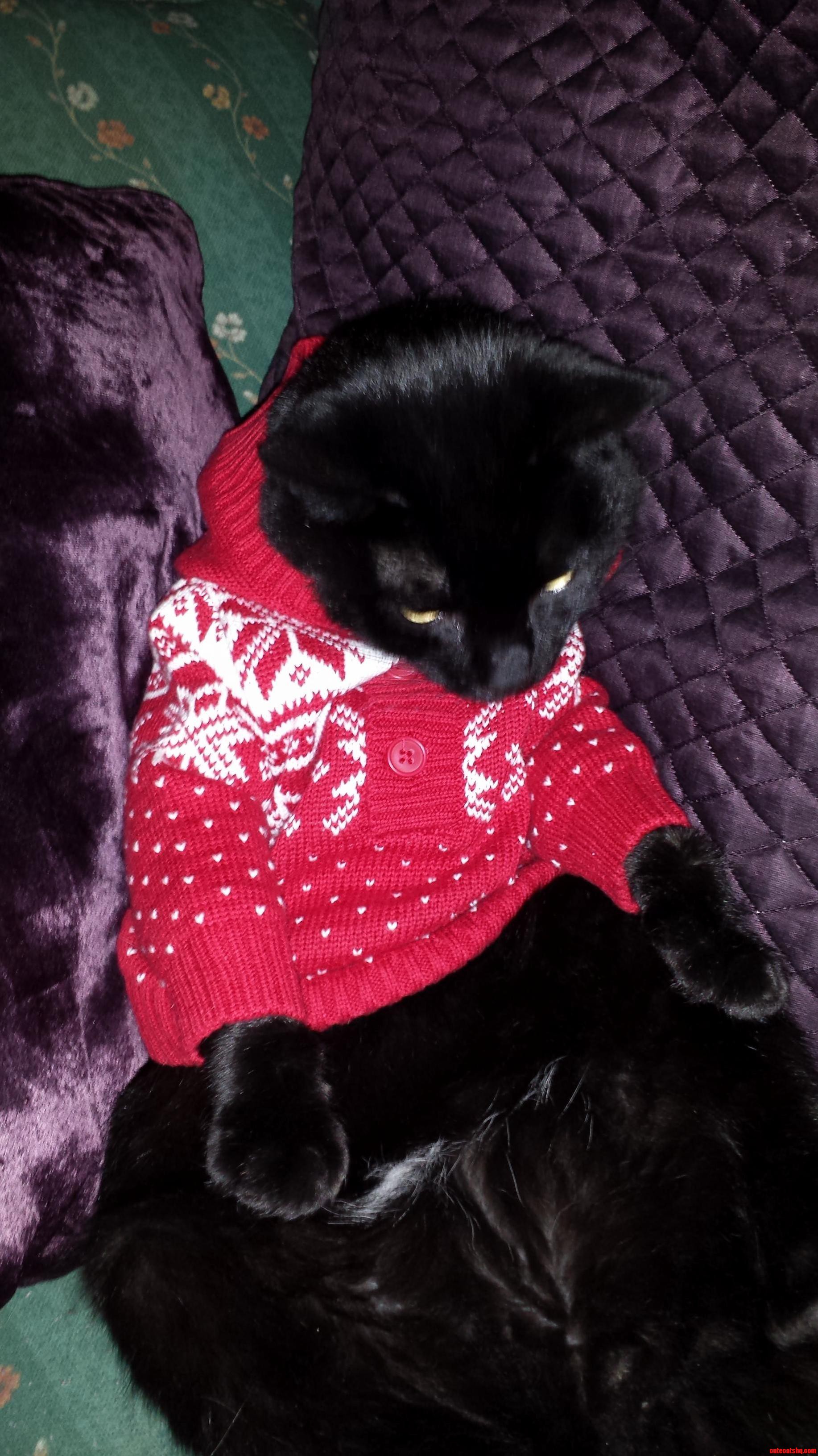 Larry Trying Out His New Winter Wear
