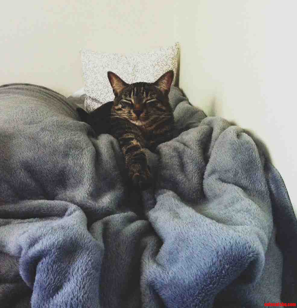 Lazy Wednesday Morning