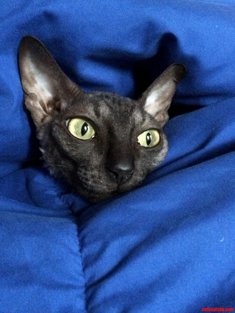 Leias Favorite Spot
