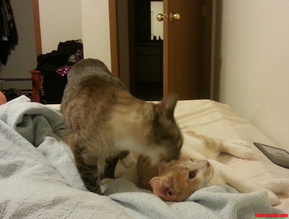 Let Me Get Behind Your Ear.