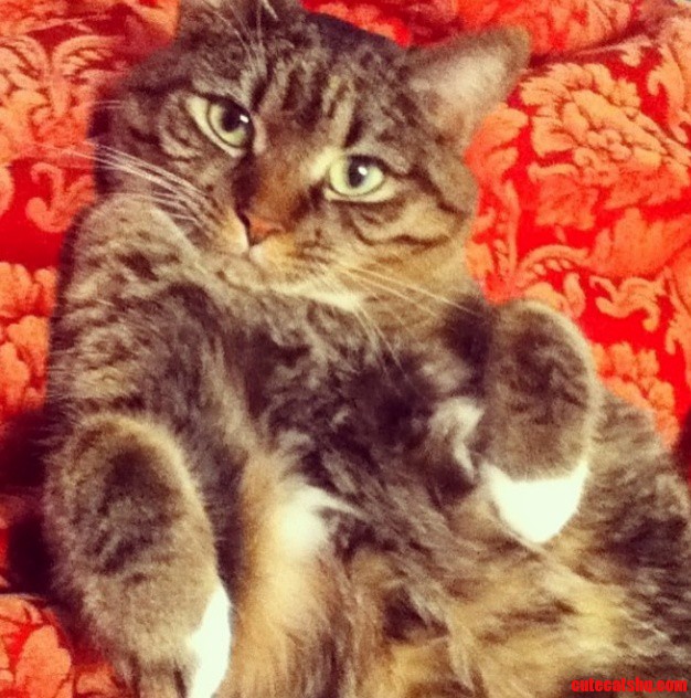 Lily Wants Me to Paint Her Like One of Those French Girls.