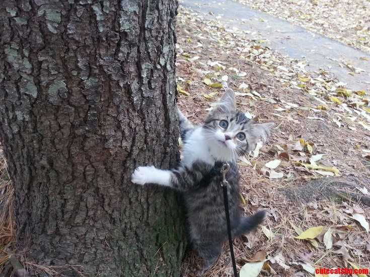 Little Marius Takes on the Great Outdoors