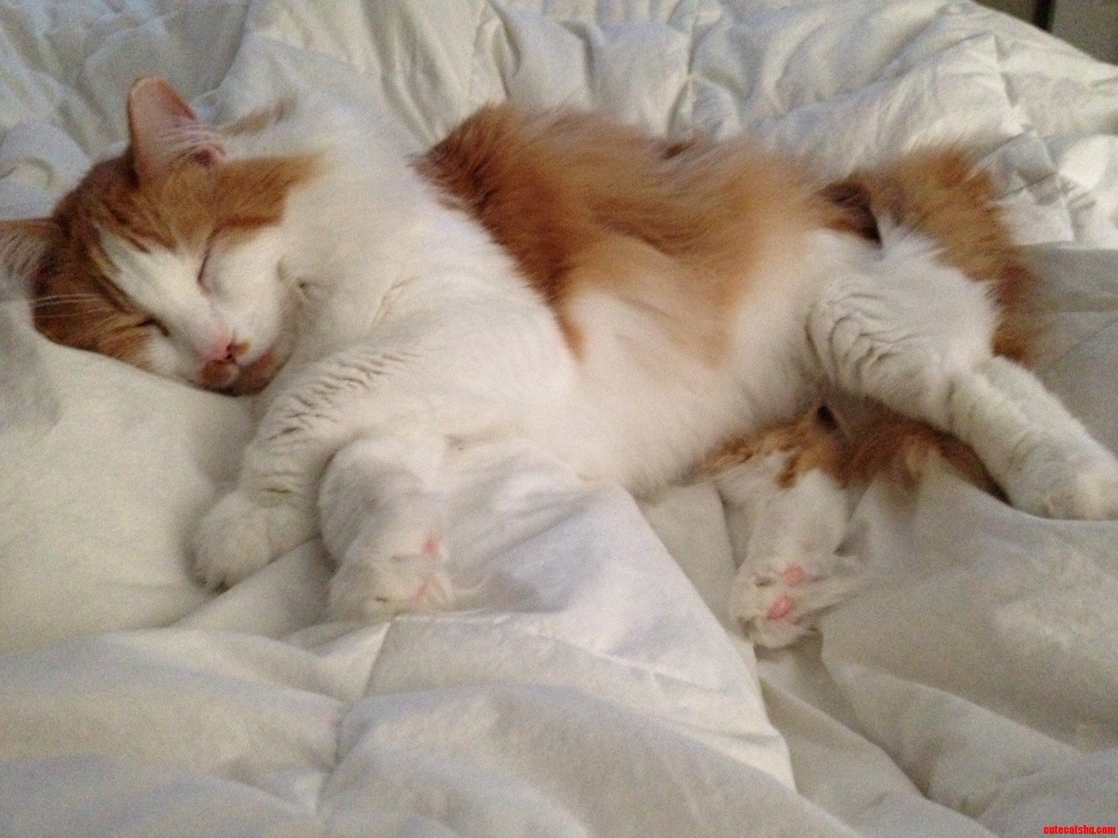 Looks Like Hes Floating on a Cloud.