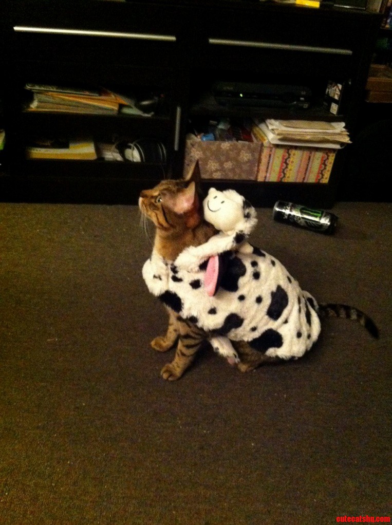 Looks Like Someone Is Ready for Halloween.