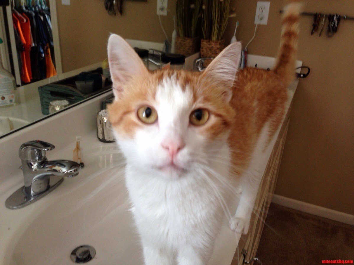Lost My Baby Boy Yesterday. When Will I Feel Better Again