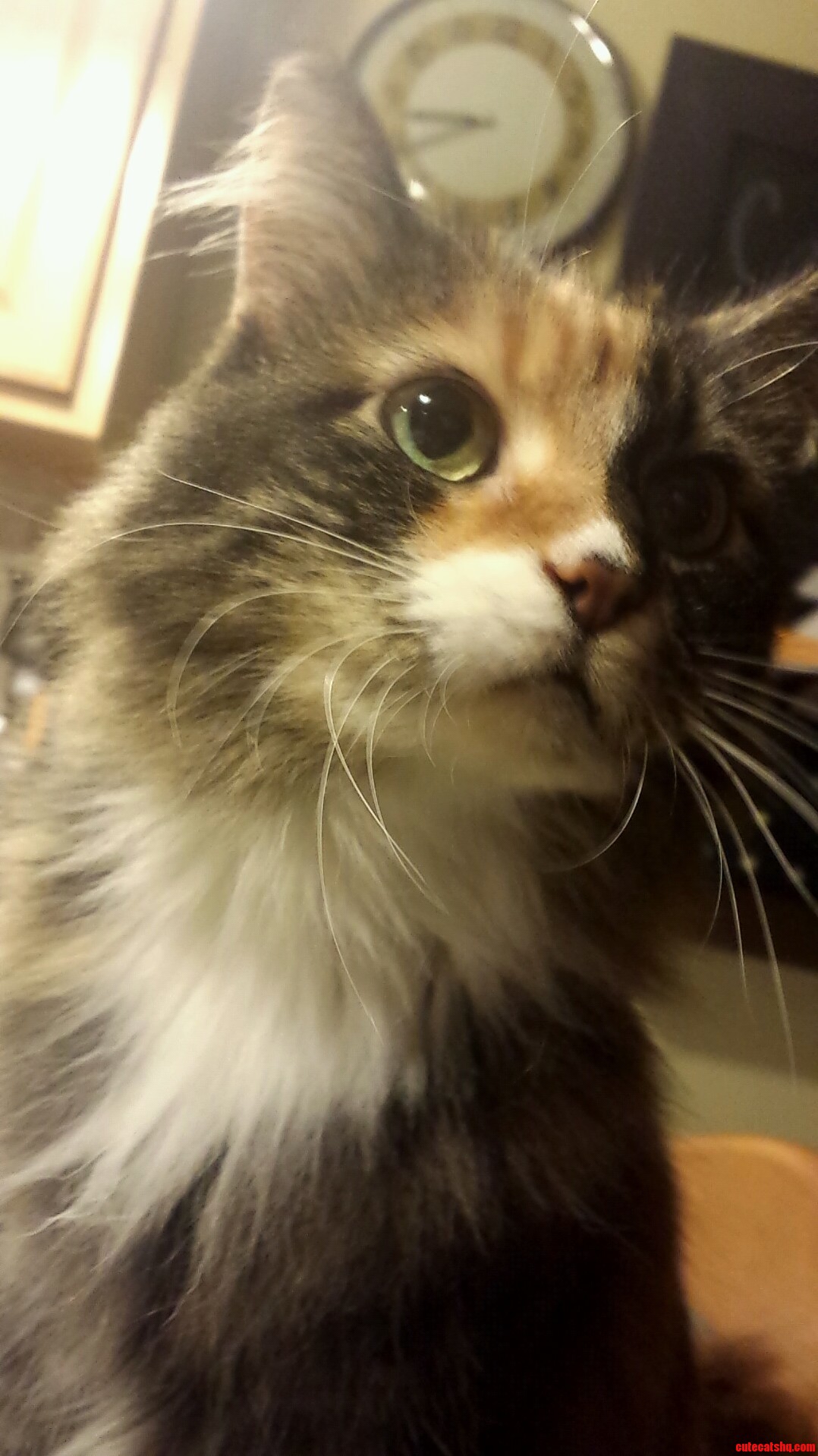 Love Coming Home from College to Visit This Lil Lady