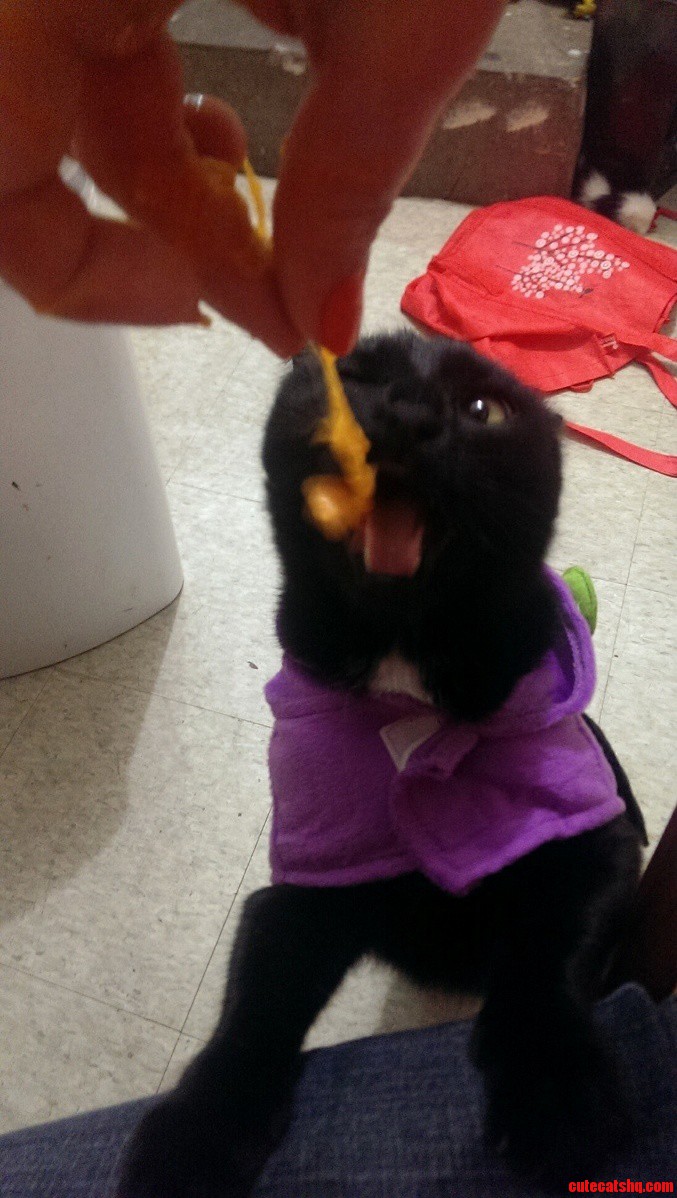 Matheson Loves Pumpkin Noms