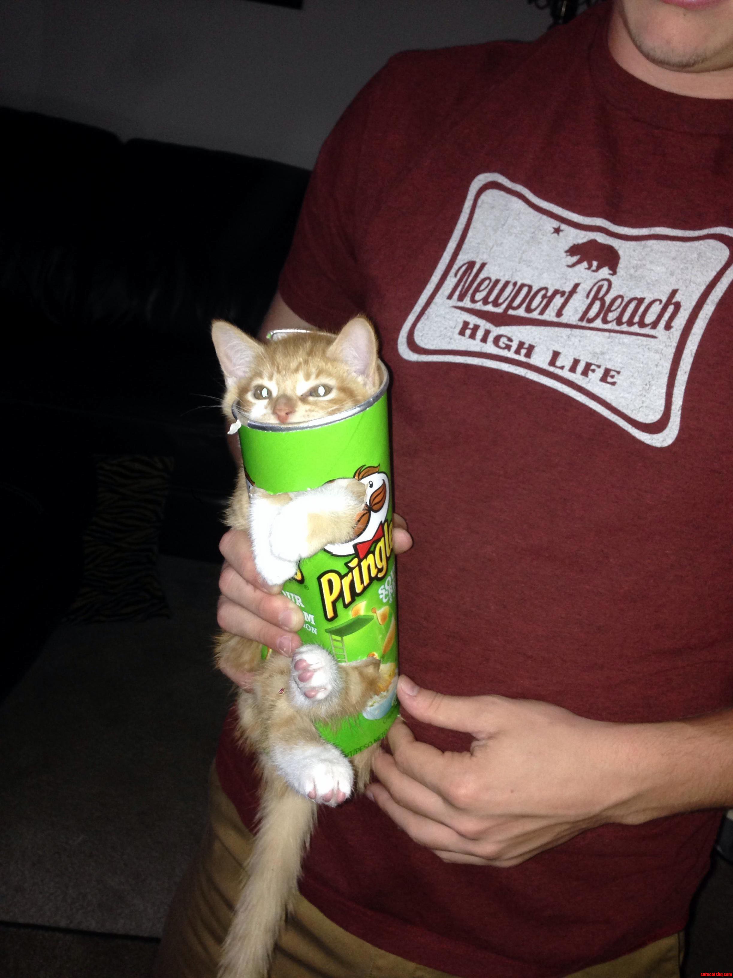 Meet Dude He Smells Like Onions Now.