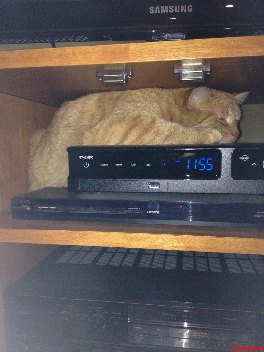 Meet Moop She Will Do Anything for the Warmz