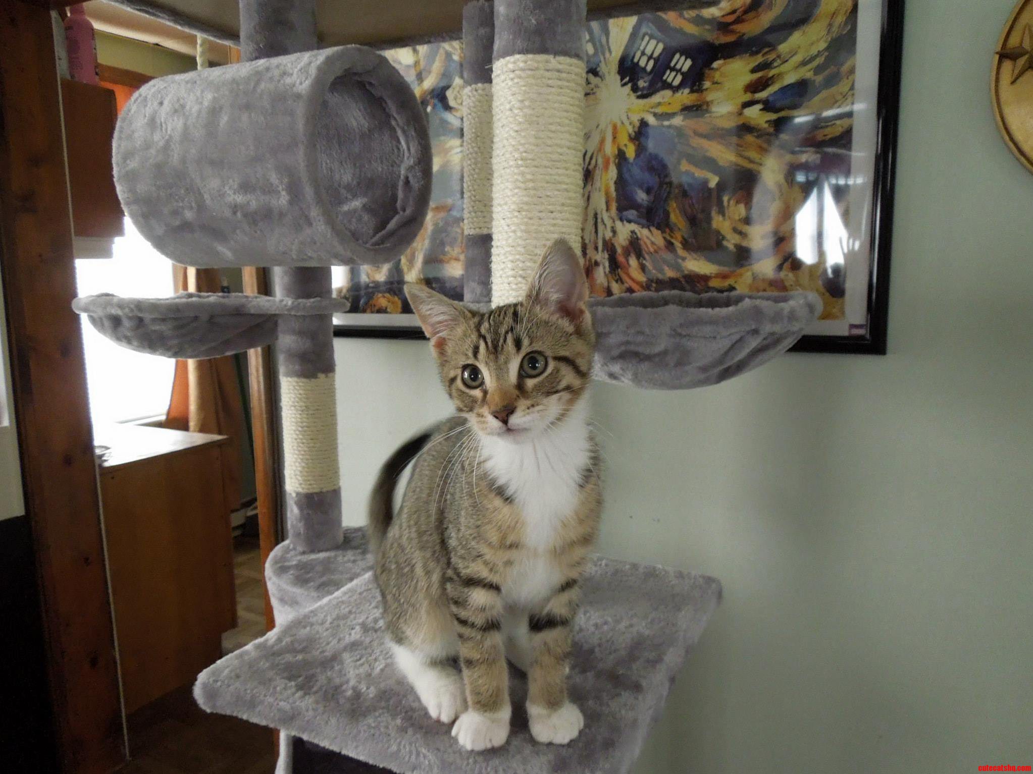 Meet My Little Man Oliver Clothesoff