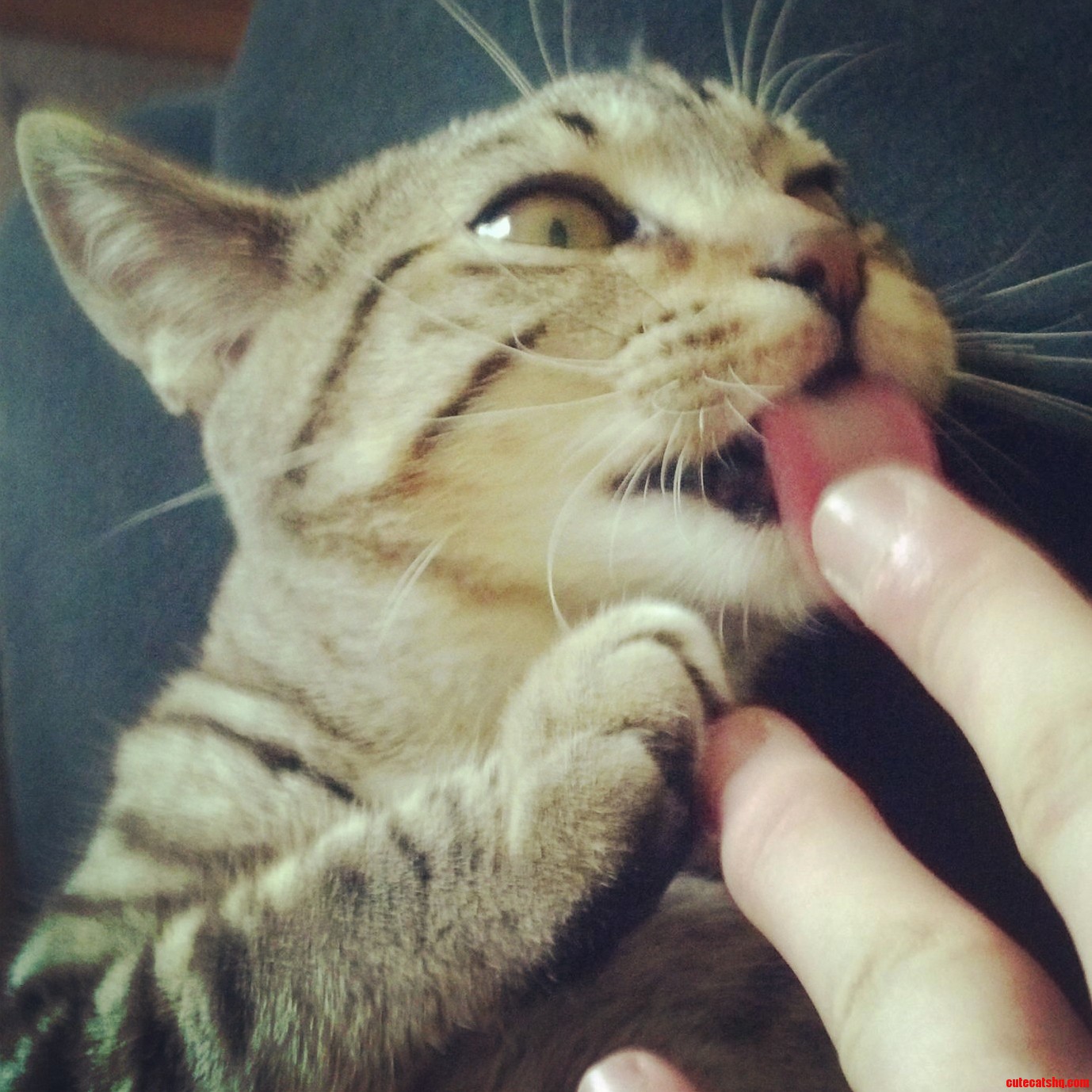 Meet Peri3