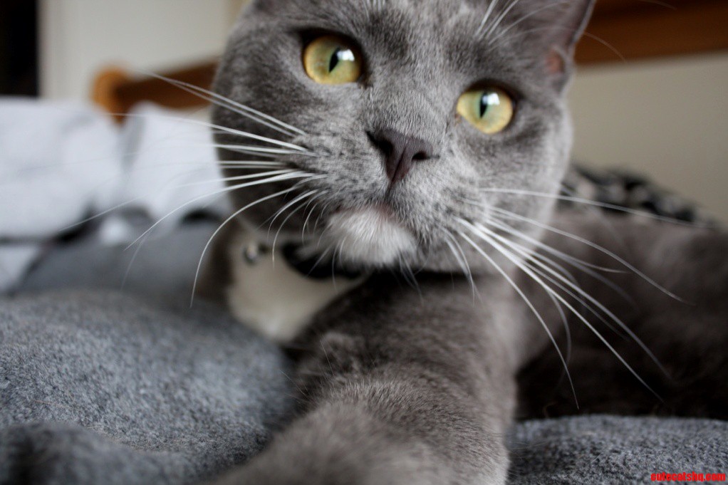 Meet Sydney. My Best Friend