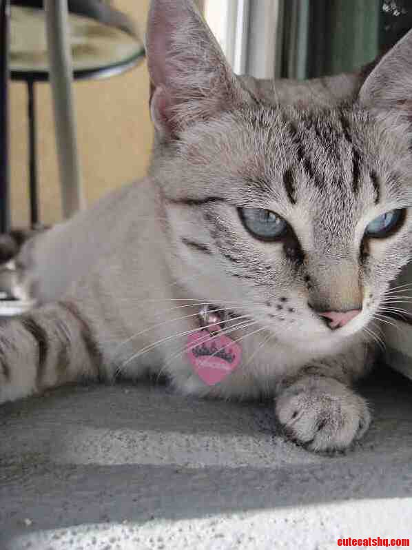 Meet Winter She Says Hello