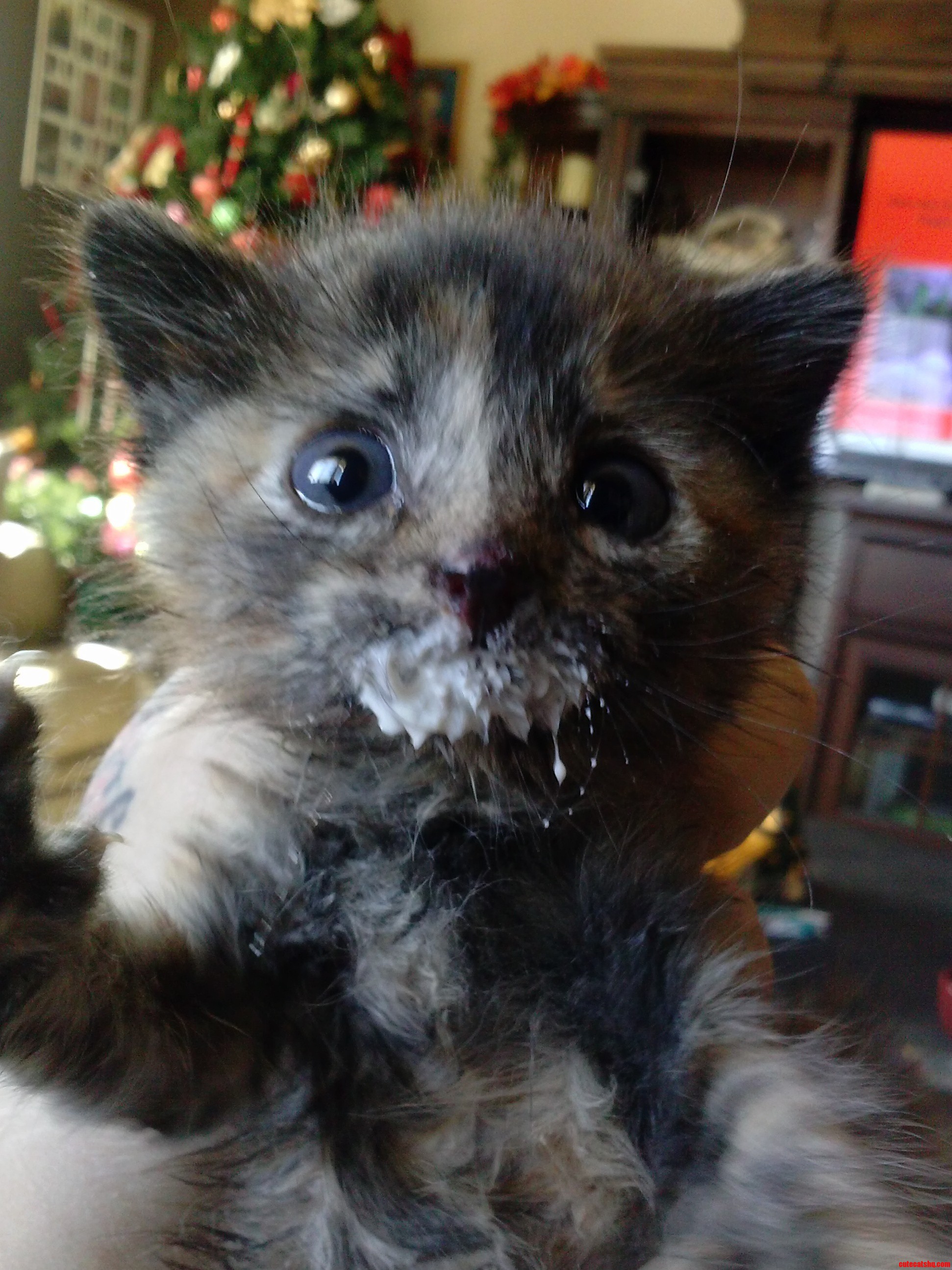 Milk Mustache