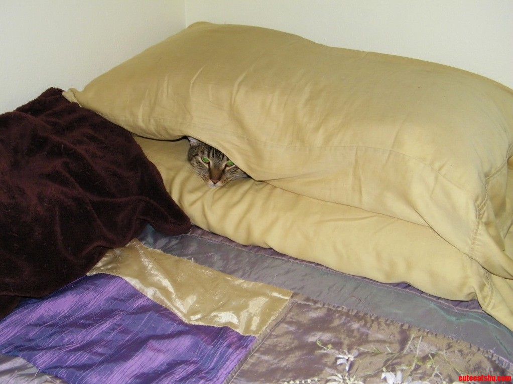 Minnesota Fats Says You Cant See Me