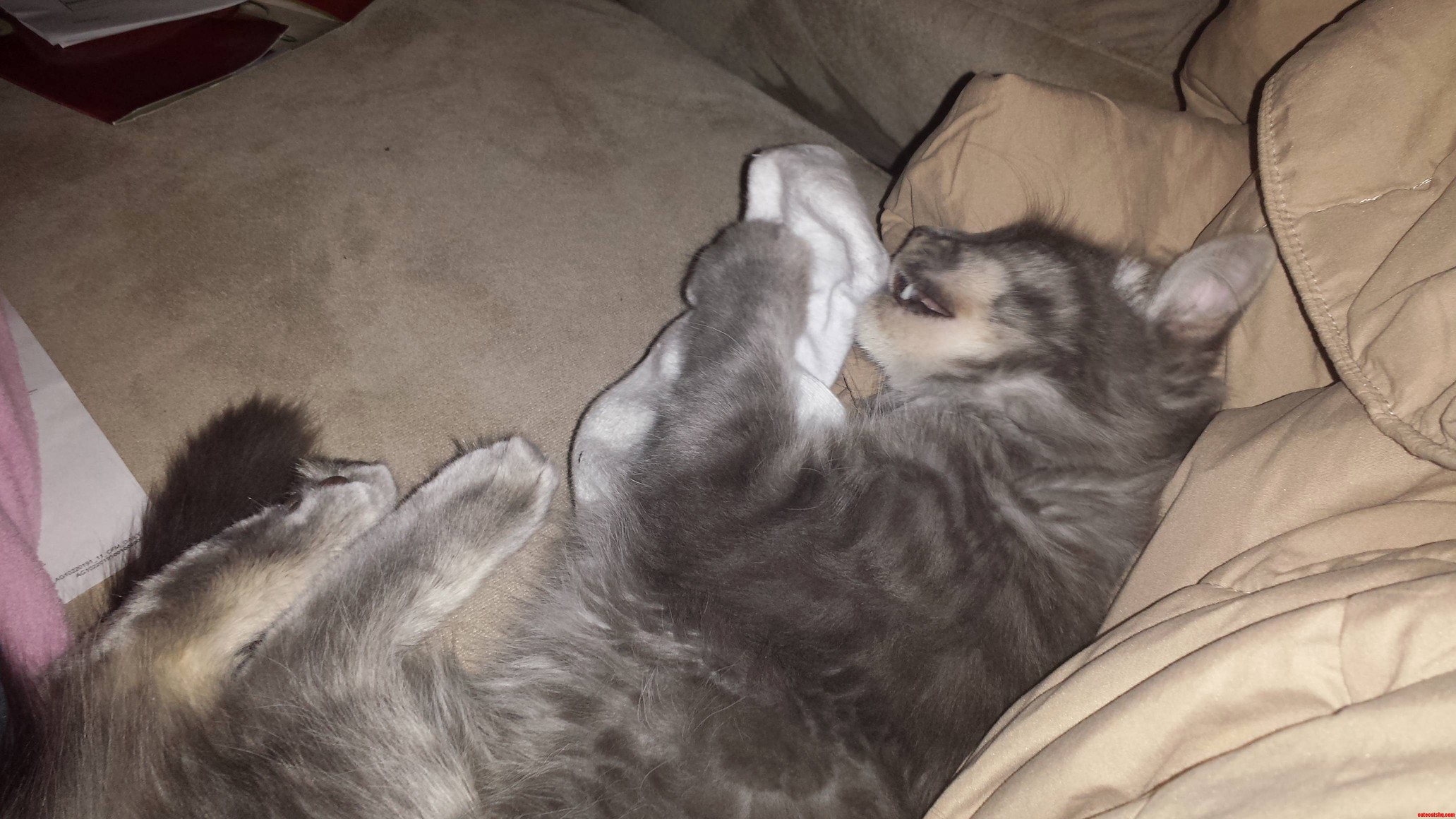Mmm Socks Are Yummy