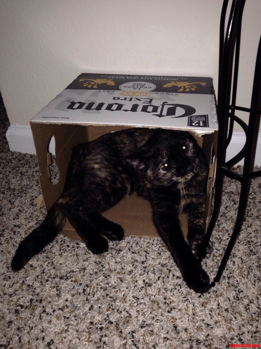 Moriarty Just Wants to Play.