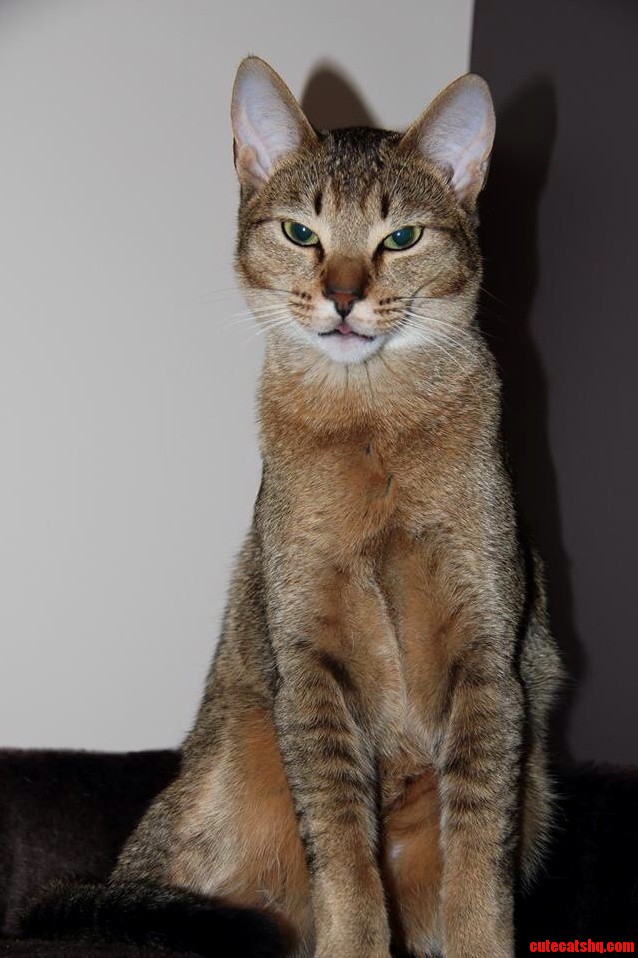 Morning Pose