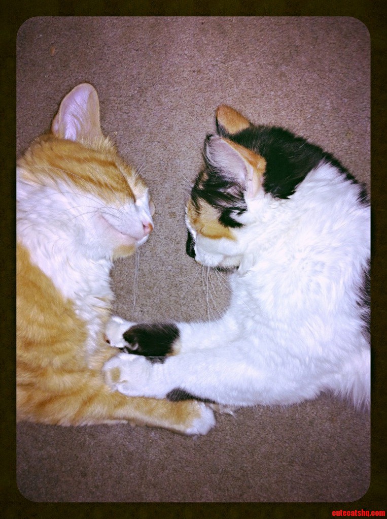 Mother and Daughter Sleeping Face to Face