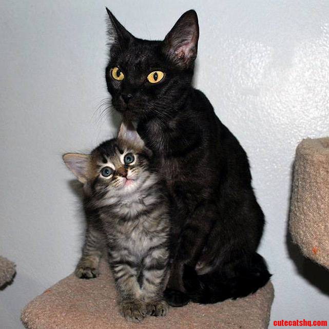 Mother and Son