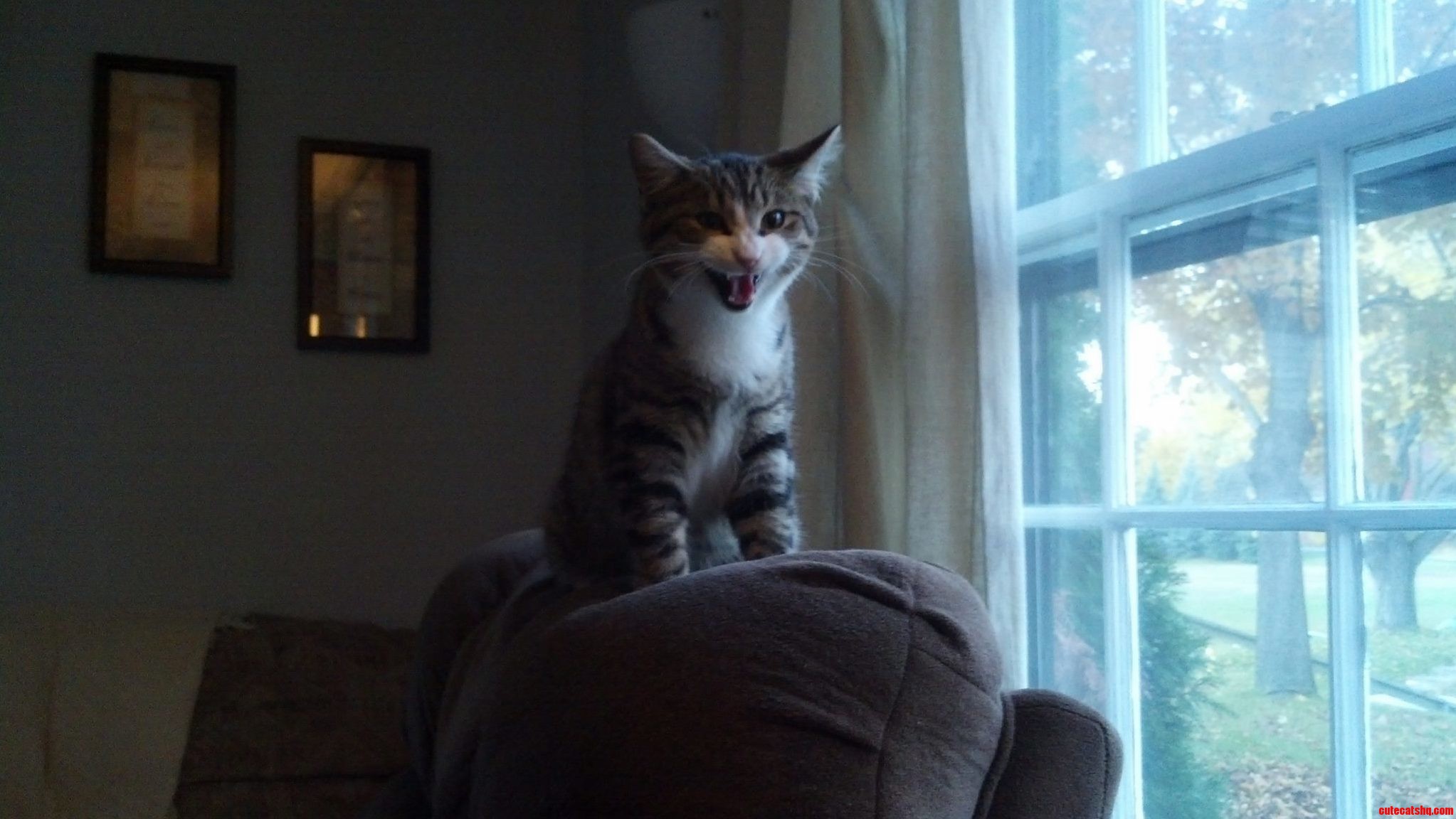 Mr. Bean Wishing Everyone a Great Day