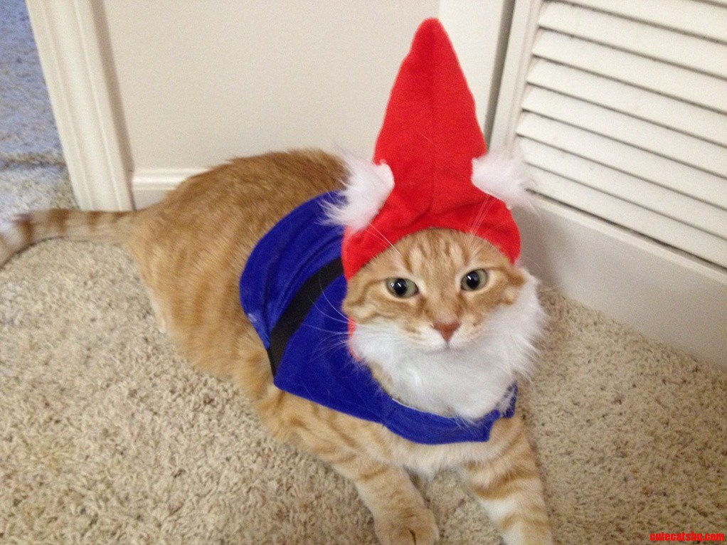 My Angry Little Underwear Gnome.
