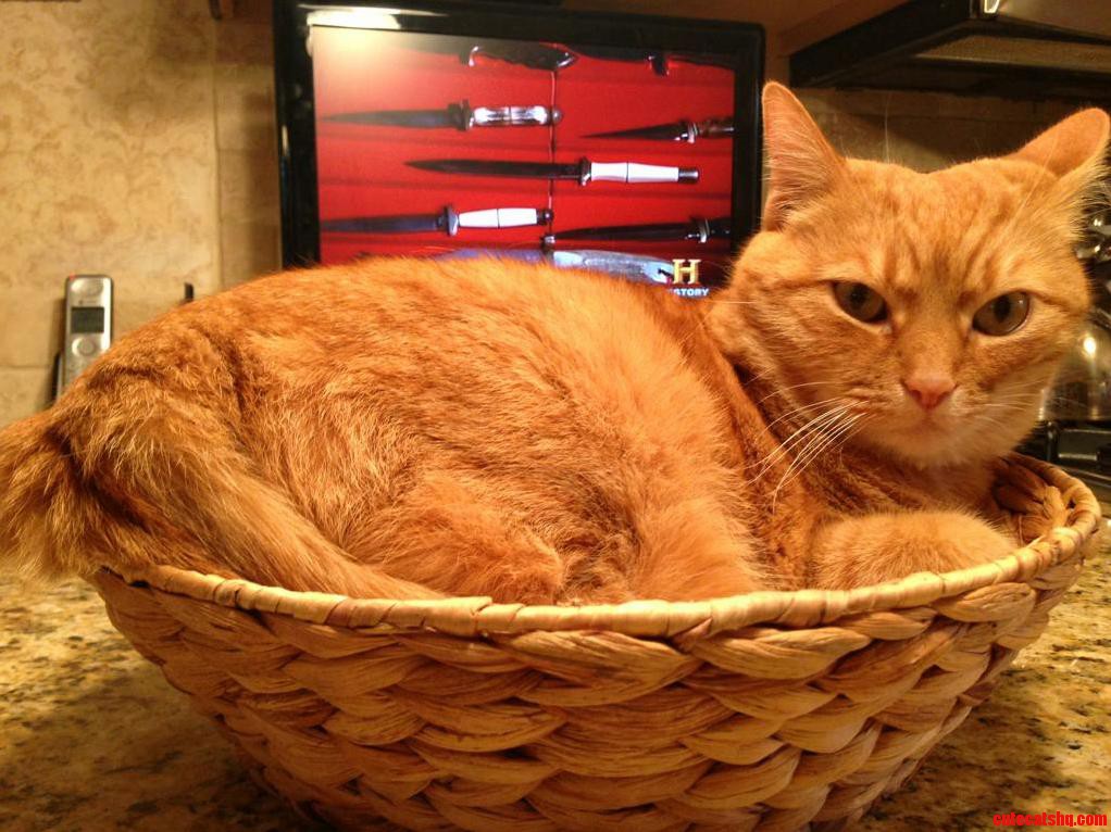 My Aunt Brought Out the Basket for Bread Rolls..