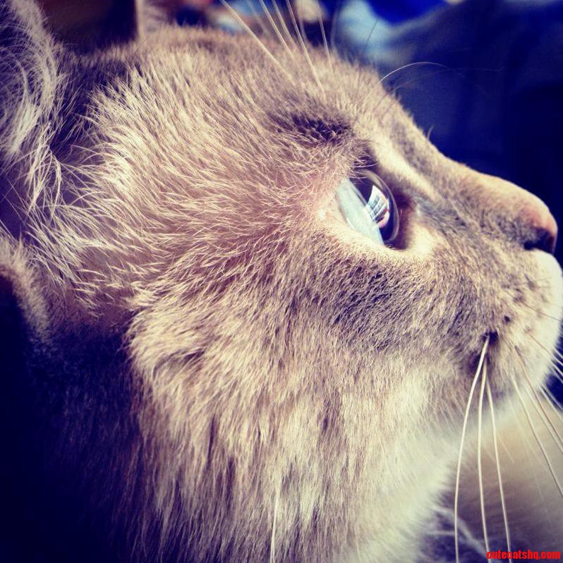 My Baby Girl Menta.