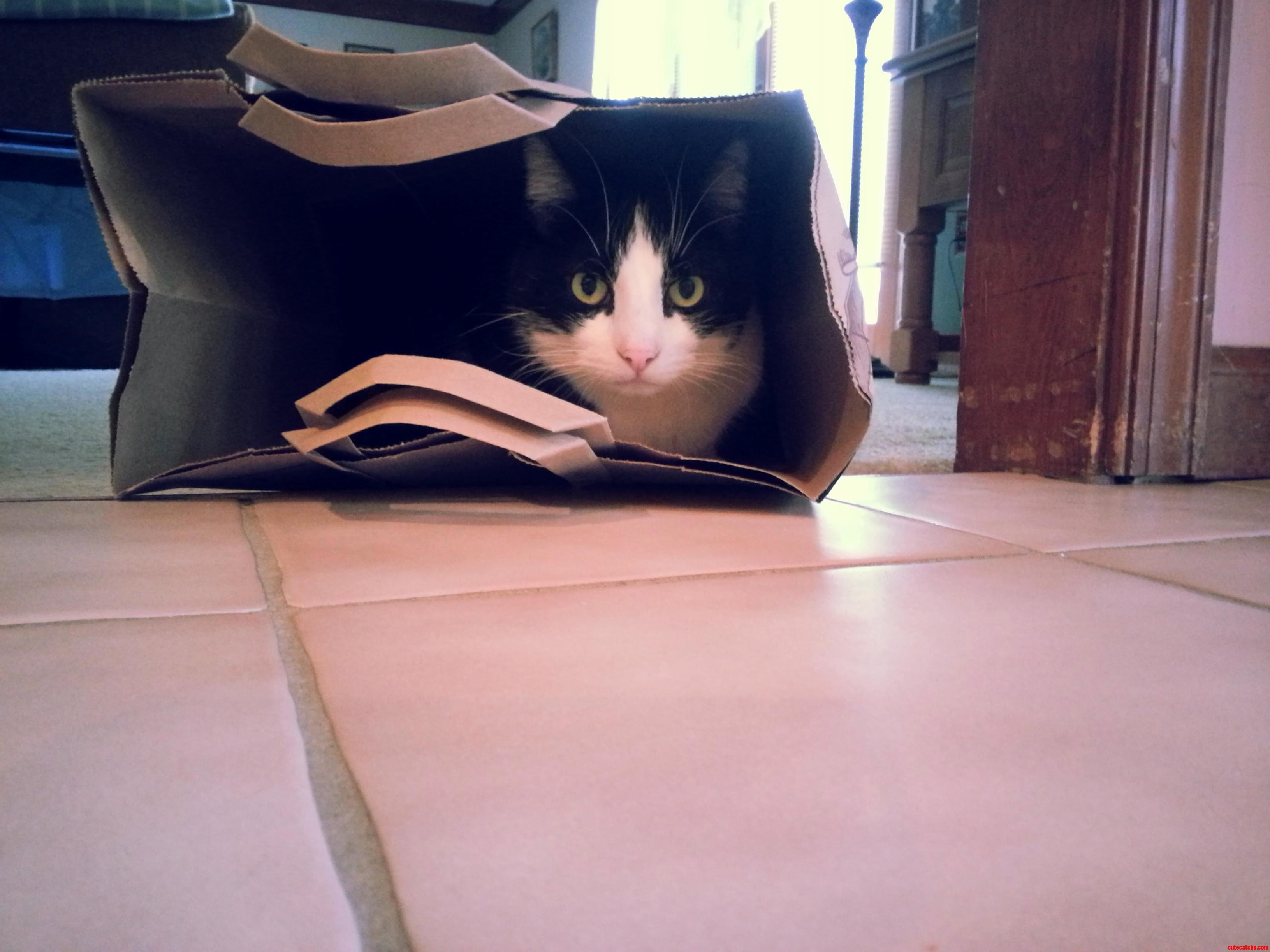 My Baby-miss Her So Much
