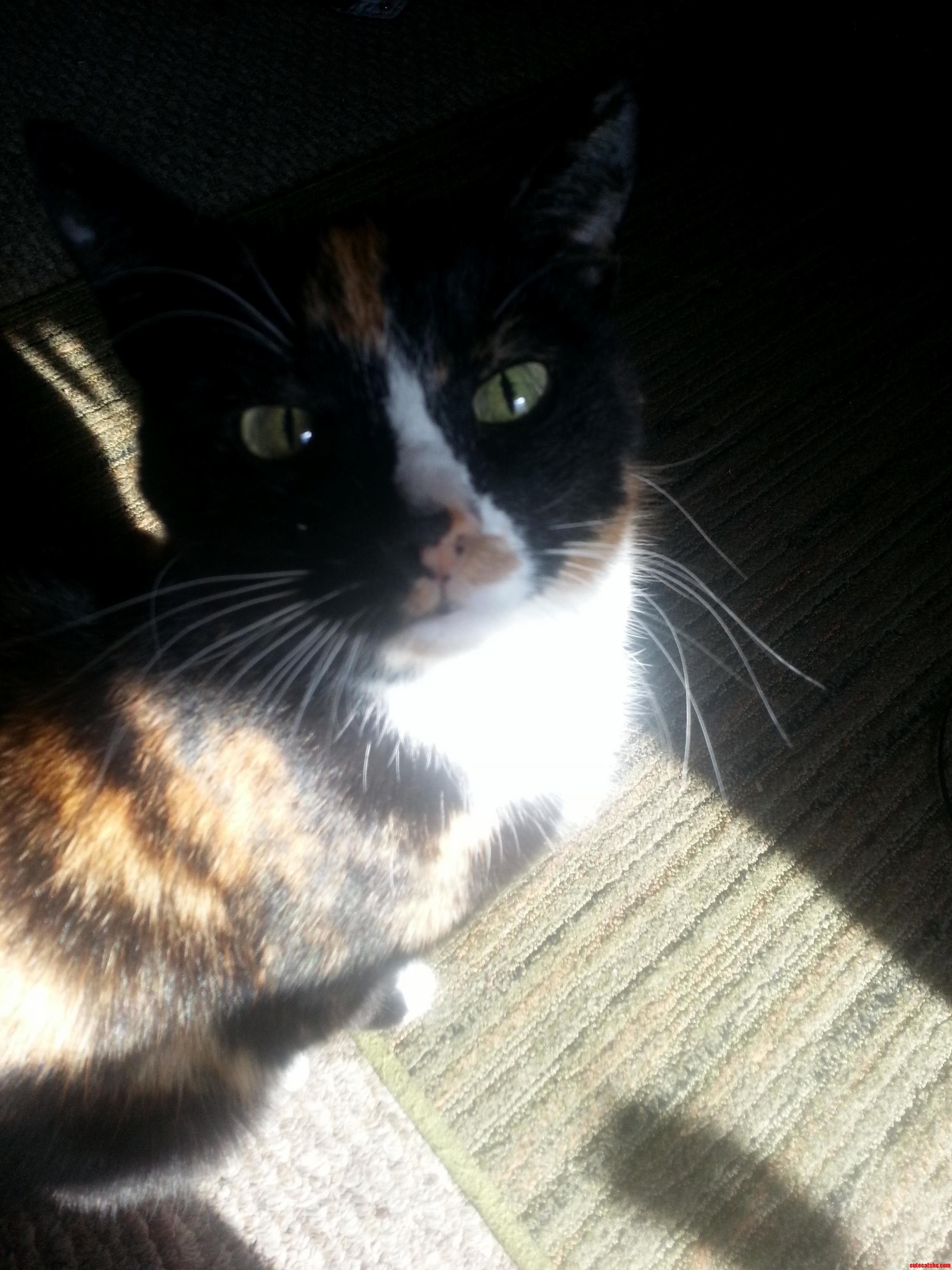 My Beautiful Margaret