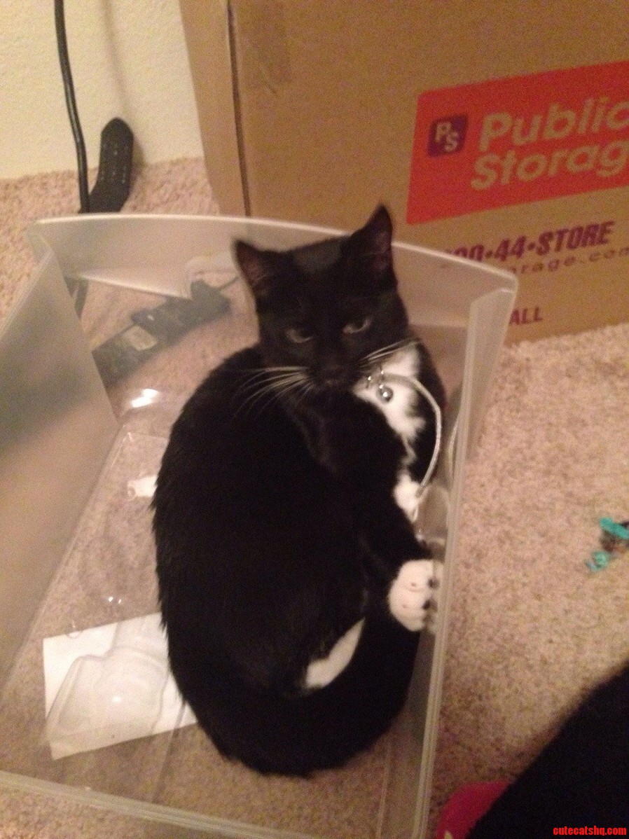 My Bin
