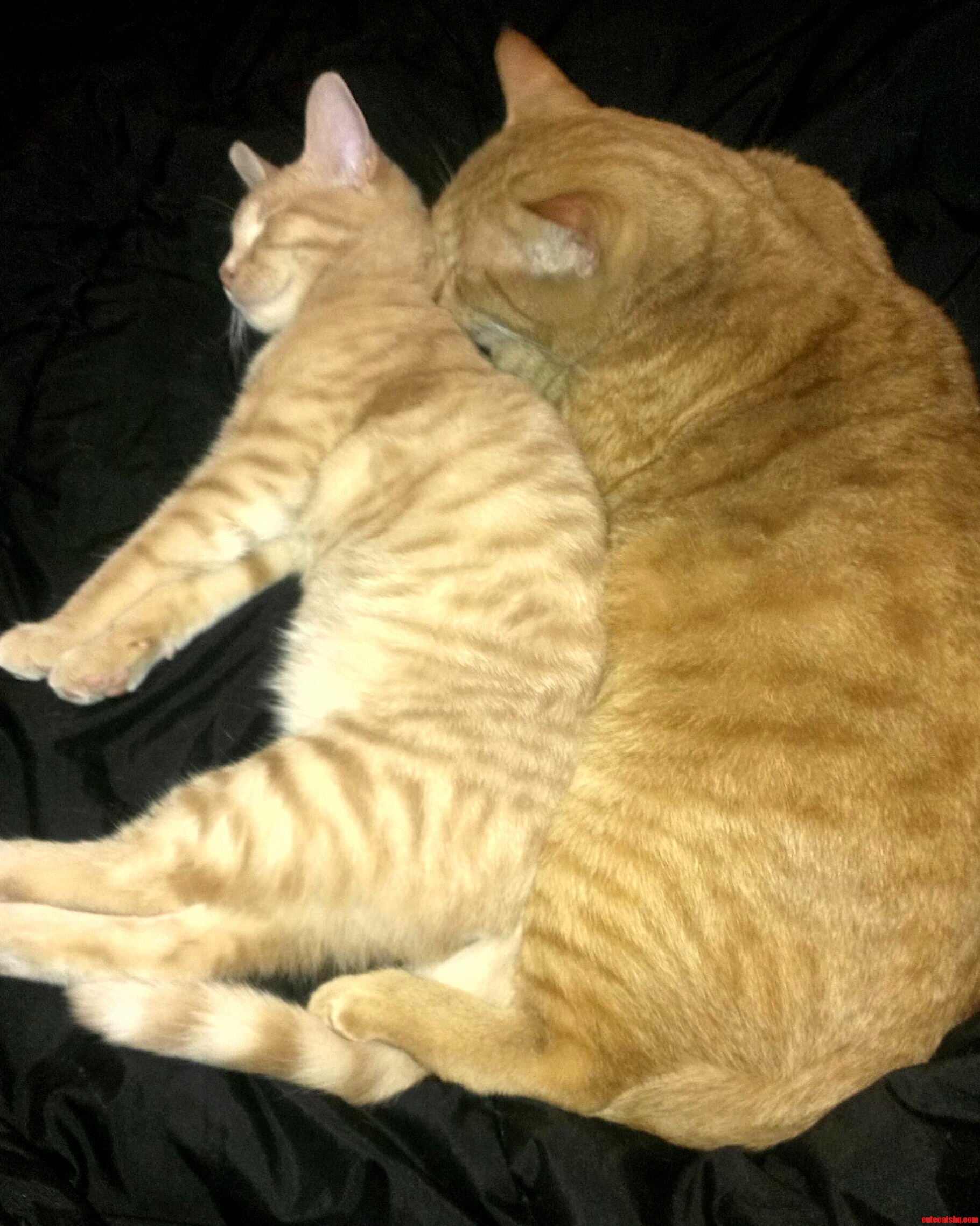My Boys Keeping One Another Warm on a Cold Night.