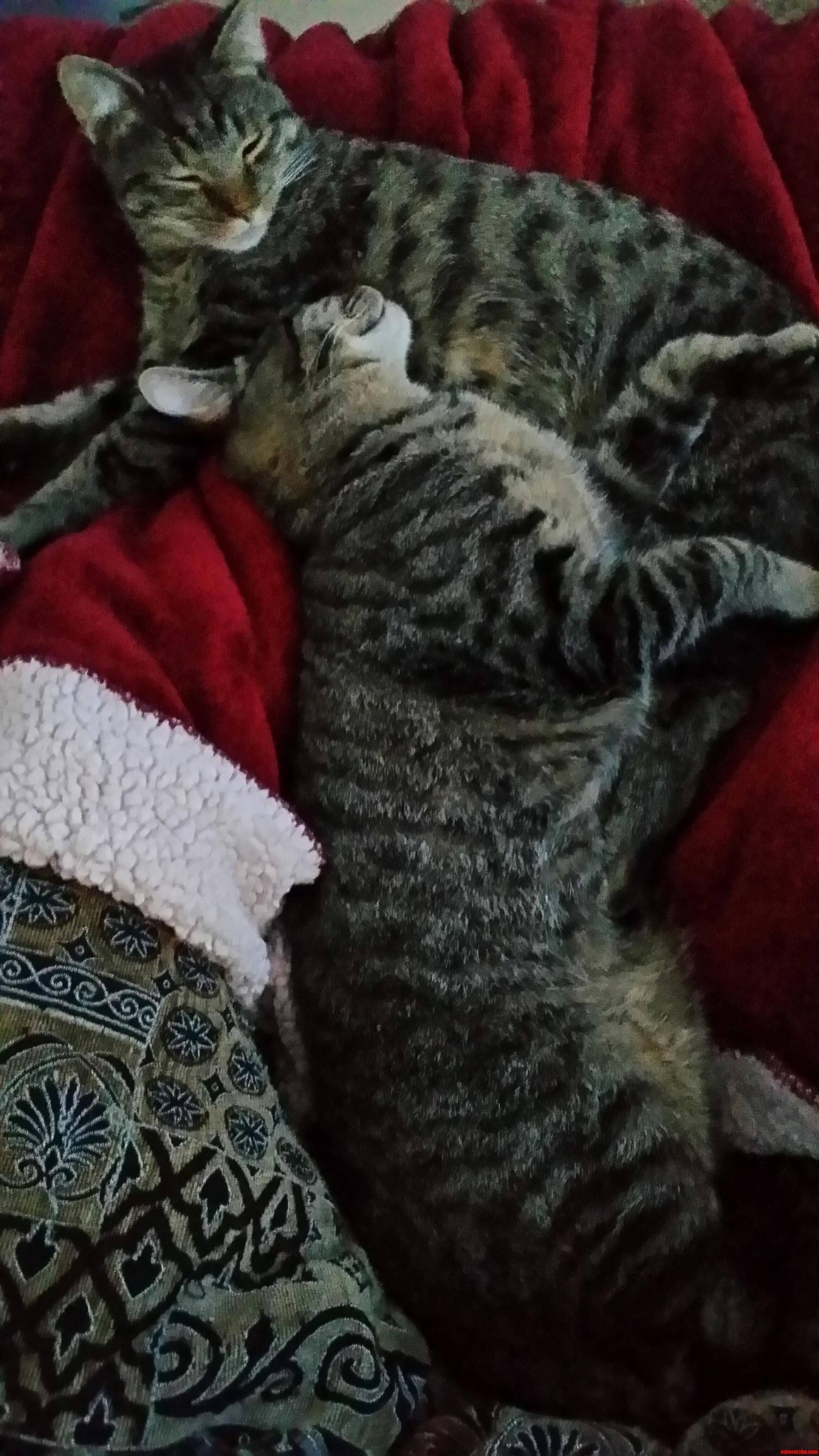 My Boys