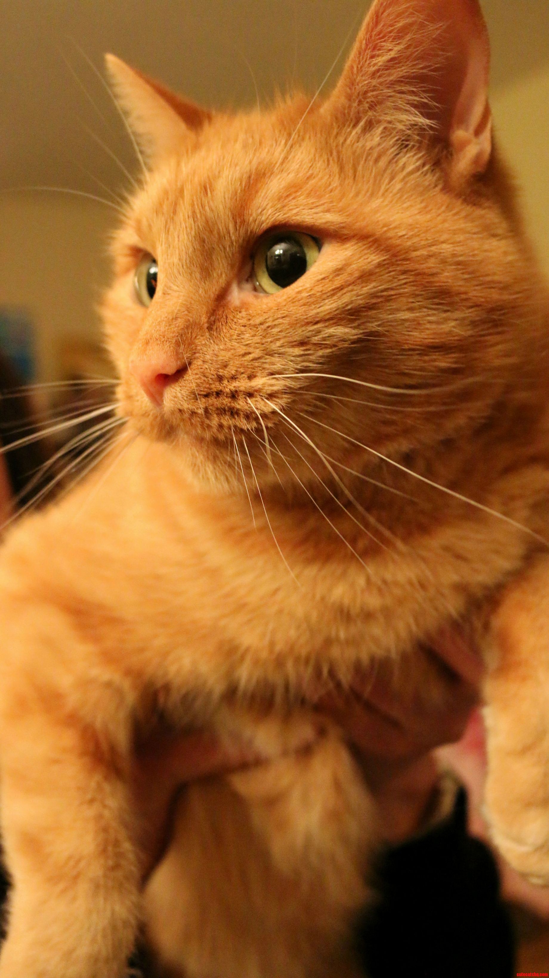 My Buddy Sammy. Hes a Drooler.