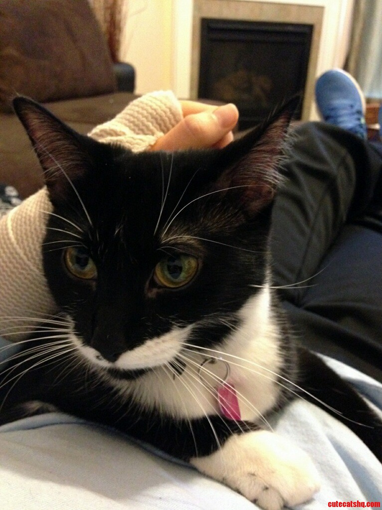 My Cats Eyes Are Changing from Yellow to Green.