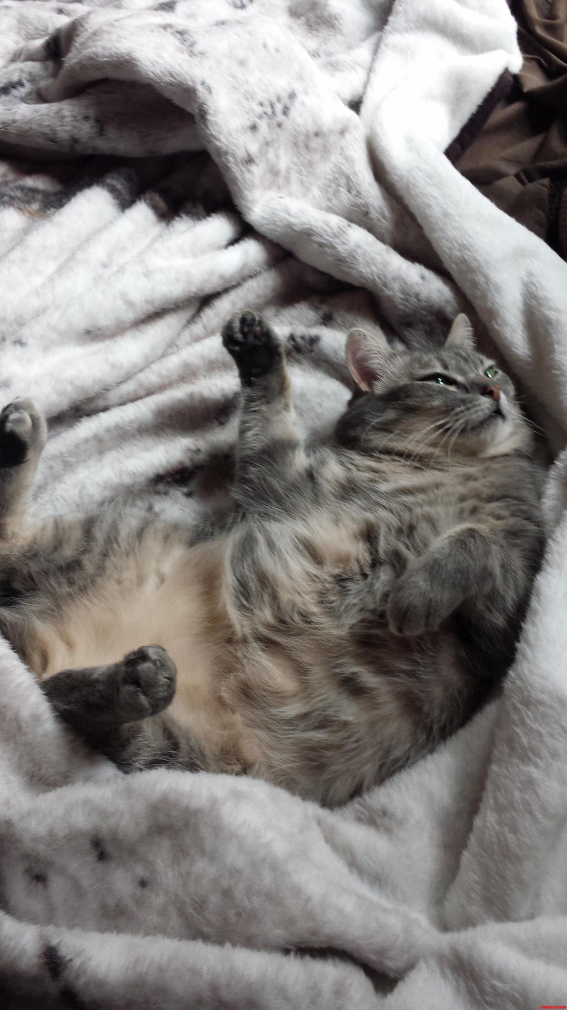 My Chunky Model.