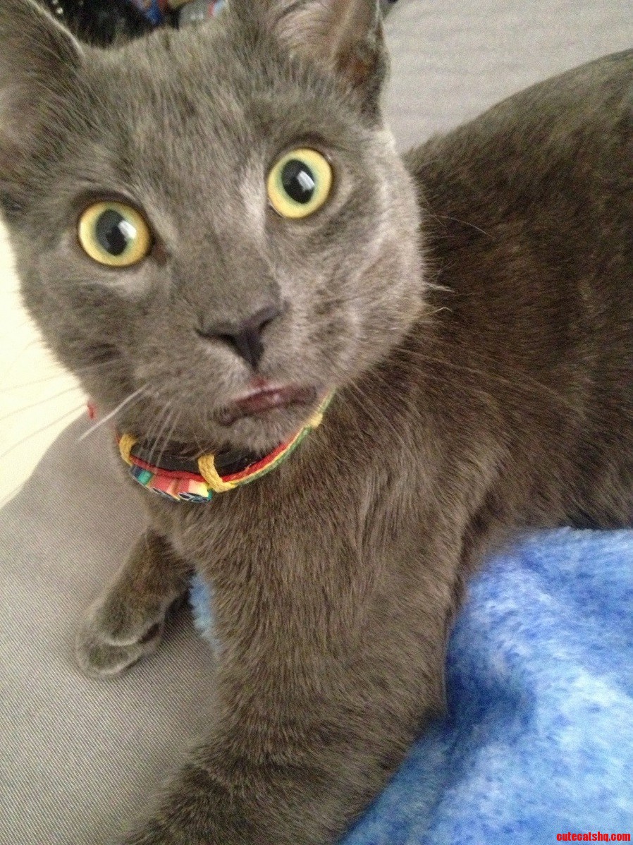 My Confused Rescue
