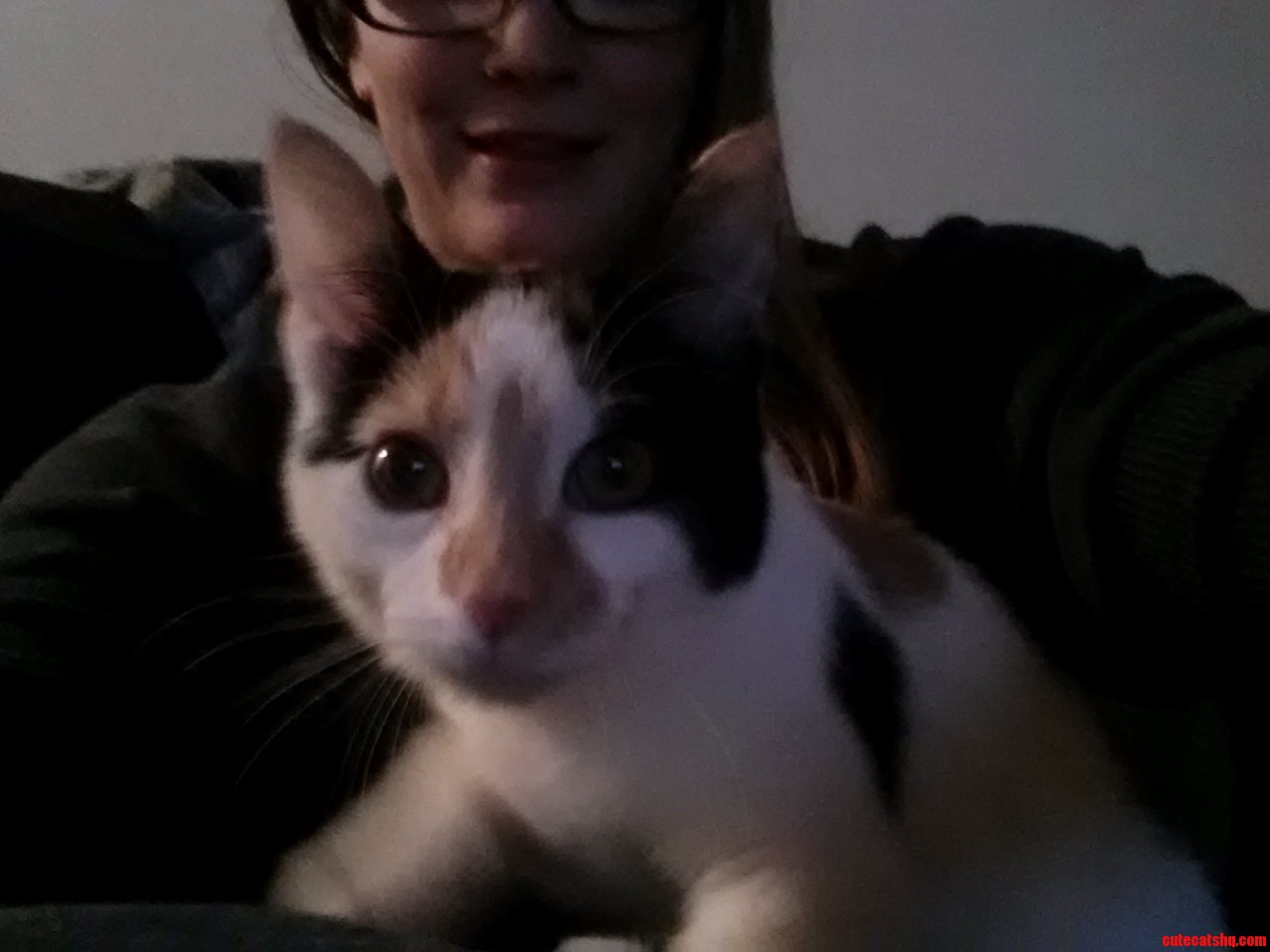 My Friends New Furry Friend