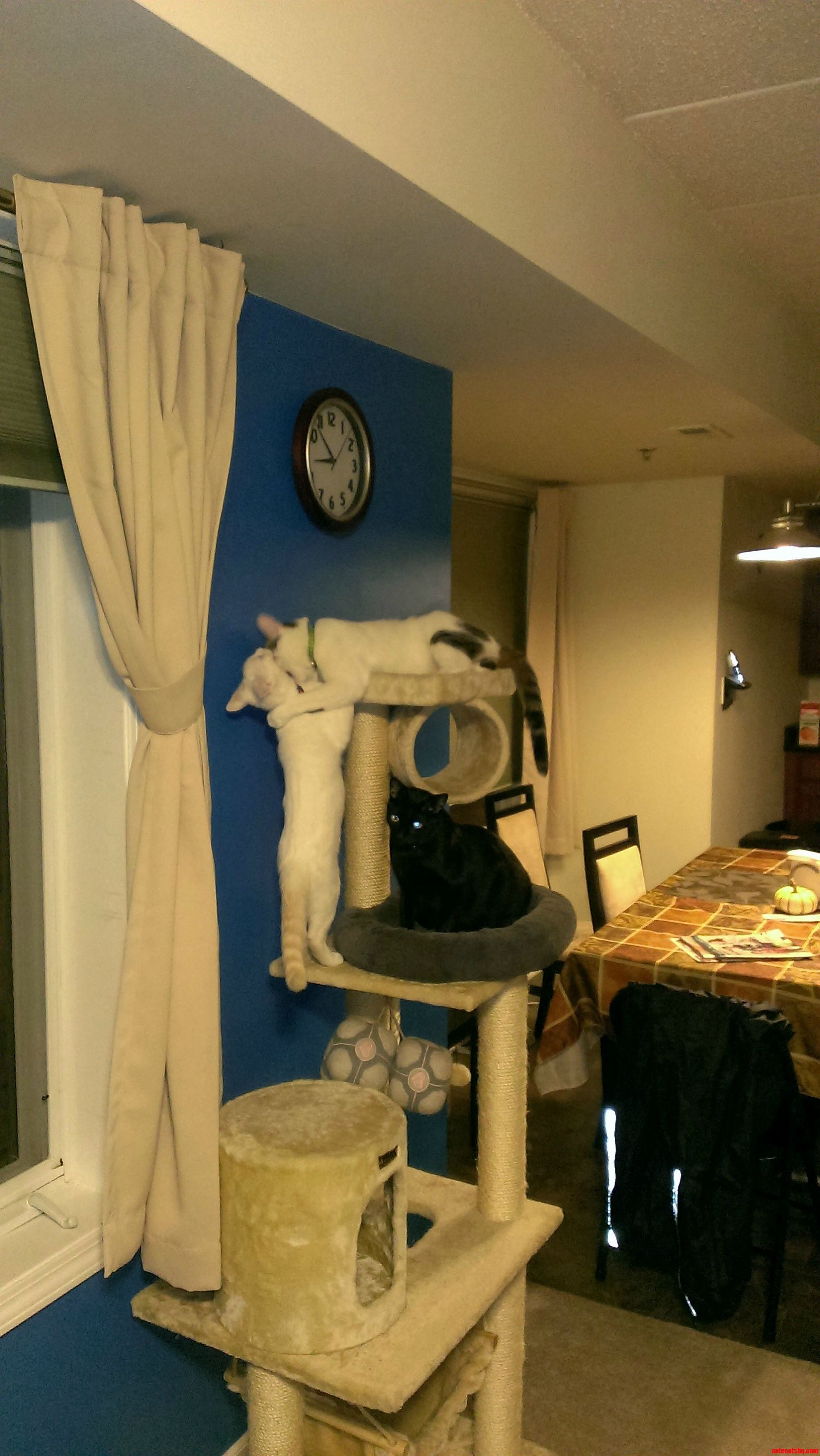 My Girlfriend Said They Wouldnt Like It There. Looks Like Shes Wrong.