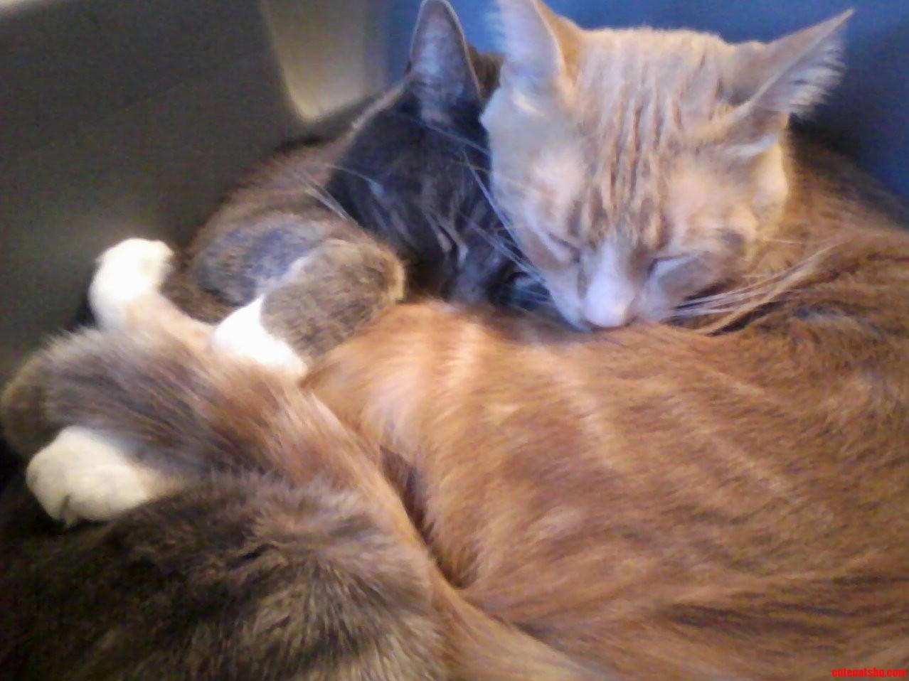My Little Dudes Cuddling