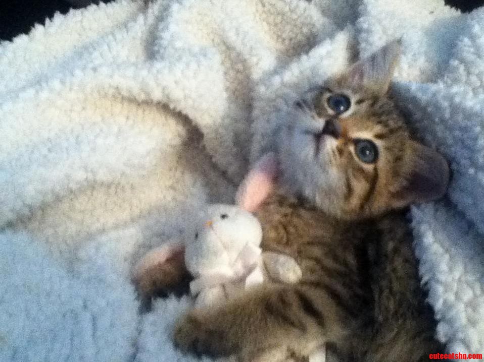 My New Best Friend Poco