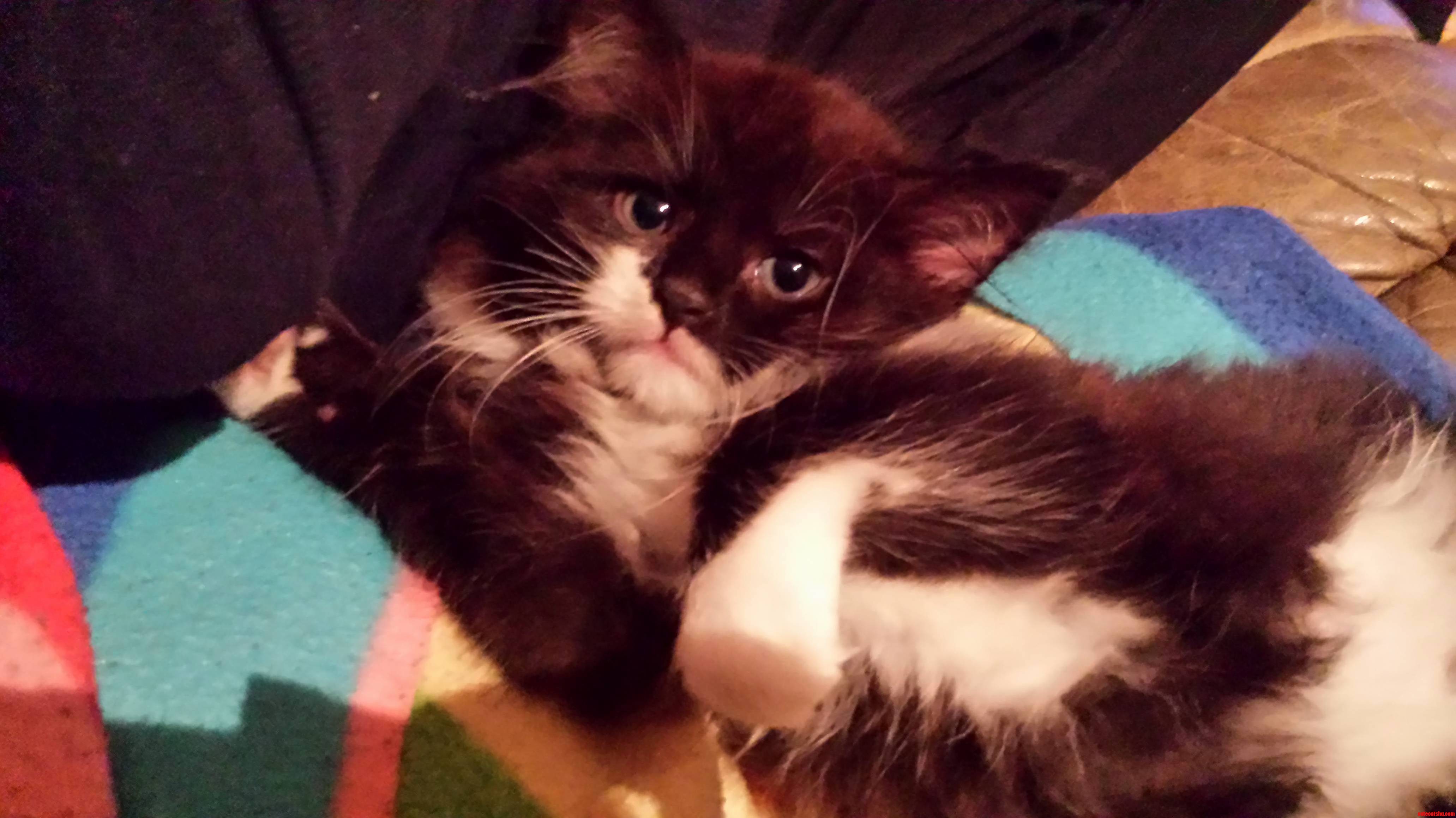 My New Cutie. Marceline.