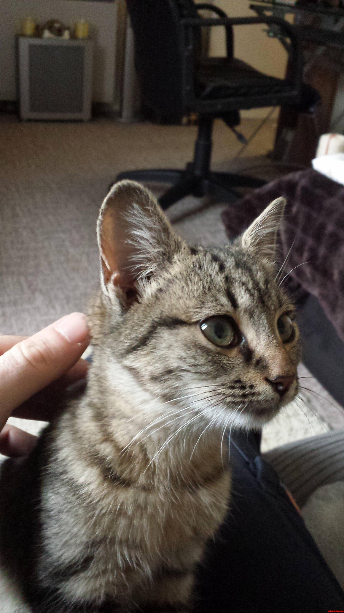 My New Friend. I Need a Name for This Little Missy.